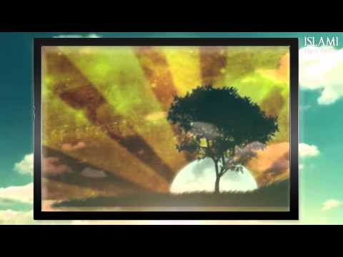 Mendjemadhësia! (Pasojat dhe ilaçi)  -  Dr. Shefqet Krasniqi