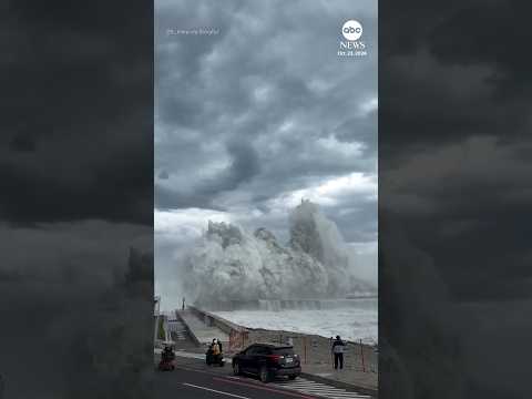 Taiwan shuts schools and grounds flights as Typhoon Champi brushes by