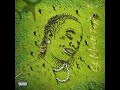 Young Thug Mannequin Challenge Ft Juice Wrld 432Hz