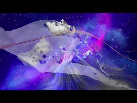 Dobrou noc - Honza Nedvěd