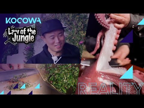 Gary caught a giant octopus the hard way [Law of the Jungle Ep 432]