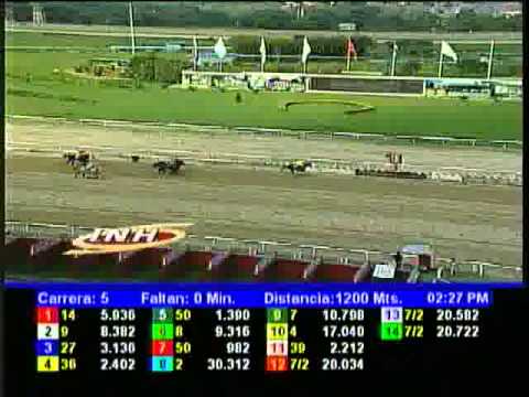 Resumen Sábado, 16 de Noviembre de 2013 - La Rinconada