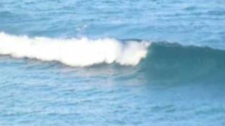 preview picture of video 'Surfing Esperance, Western Australia'