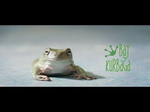 TRT Çocuk Sineması - Bay Kurbağa - Cumartesi - 20:00