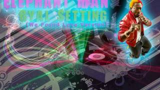 Elephant Man -- Gyal Setting (We Found Love Version)