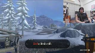 ゼルダやるにょーん