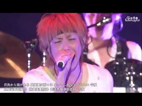SIDNAD Vol. 7 - cosmetic (Live)