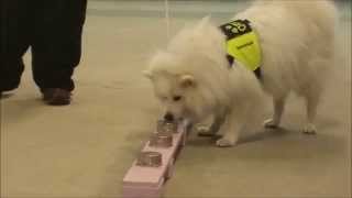 Ozu Smellertrening 13.03.2015