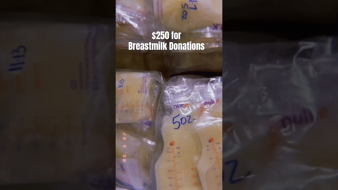 The Art of Baking: From Classic Bread to Artisan Pastries