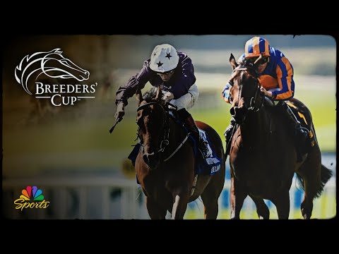 Betting the 2025 Breeders' Cup: Juvenile Turf Sprint | NBC Sports
