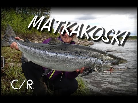Tornionjoki - Matkakoski Putkiperhot - Ja Yks´ TyöTapaturma ( RiverTube Putkiperhot - Tubfluga )
