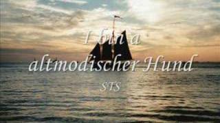 STS - I bin a altmodischer Hund