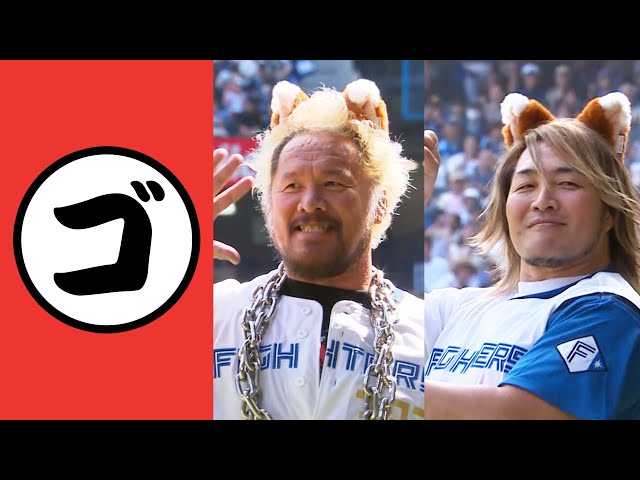 【go】 也有可愛的狐貍 【不是總結的總結】