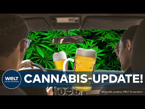 CANNABIS-LEGALISIERUNG: Update! THC-Grenzwert für Autofahrer und Regeln für Mischkonsum am Steuer