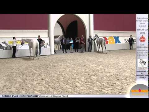 Berlin Cup 2015 - Senior Male Championship