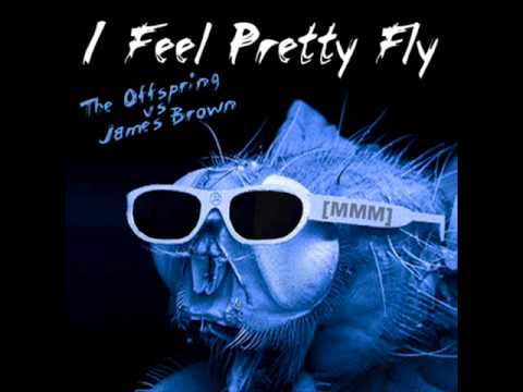 James Brown vs. The Offspring -- I Feel Pretty Fly (For A White Guy) [MadMixMustang]