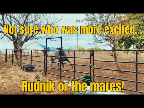 Rudnik finally gets to move in with the ladies! Well, sort of…