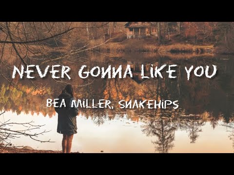 NEVER GONNA LIKE YOU (conceptualiser) - Bea Miller, Snakehips