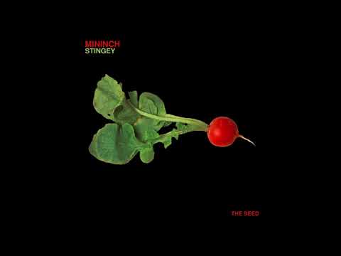 Mininch - Stingey (Original Mix)