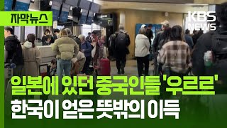 [자막뉴스] 일본에 있던 중국인들 '우르르'…한국이 얻은 뜻밖의 이득 / KBS 2025.11.26.