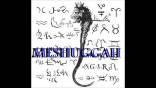 Meshuggah - Demiurge (Slowed 12.71%, Dropped 2.5 Semitones)