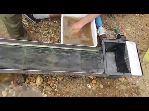 Seperating gold out of tin and black sand concentrate using clean up sluice