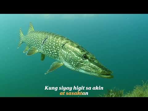 Karaoke Bakit Pa   Troy Laureta x Cheesa Jackie