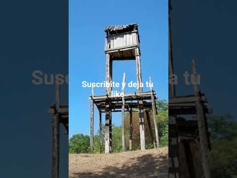 Mayor Villafañe Formosa