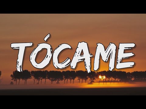 LA SANTA GRIFA – Tócame (Letra\Lyrics)