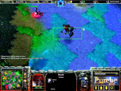 The War Cast - DkH.Rain (UD) vs rvs- (NE) - G3 - WC3 #60