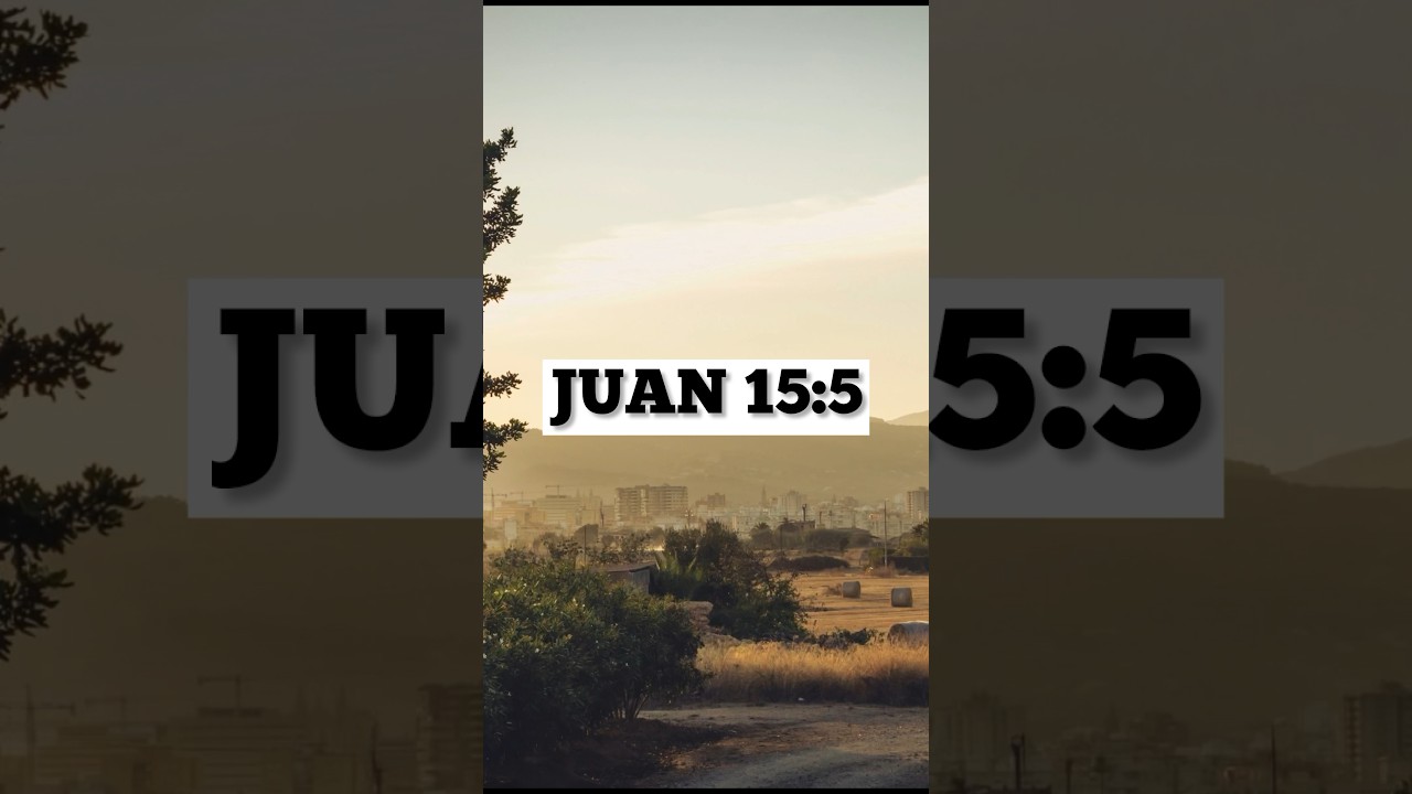 Juan 15:5