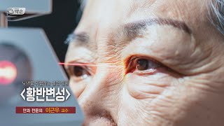[대구MBC TV메디컬 약손] 황반변성