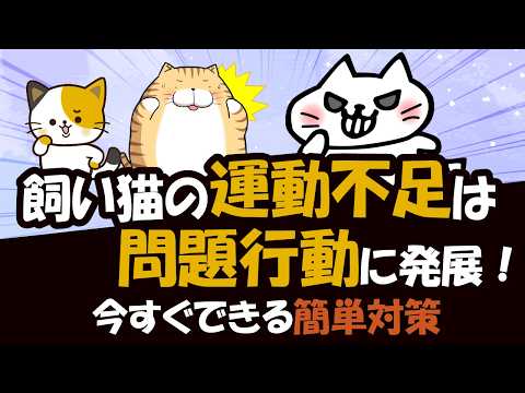 肥満猫のための運動