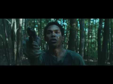 image It Comes at Night