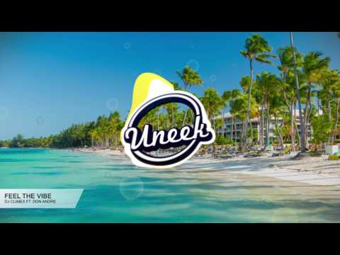 DJ Climex - Feel The Vibe (Ft. Don Andre)