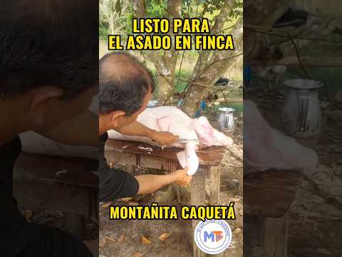 LISTO PARA EL ASADO EN FINCA | Montañita Caquetá | Vida en el Campo Colombiano | MOTTA TV