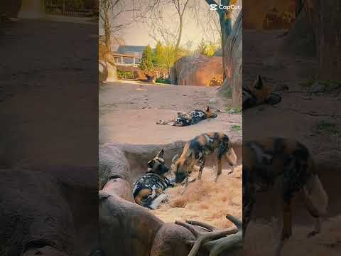 I forgot what year it was..