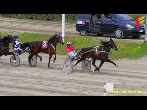 II Corsa del 28 Gennaio 2022 - 3 Anni Femmine - Metri 1600