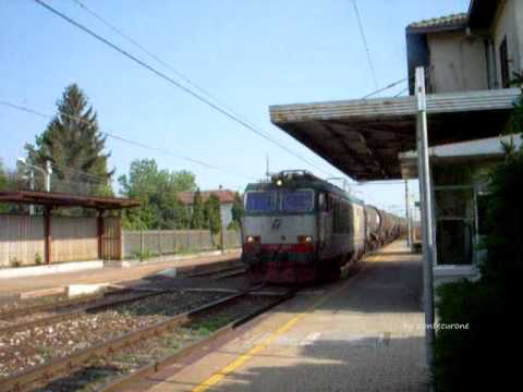 GATTO-CISTERNA IN TRANSITO :-))))))