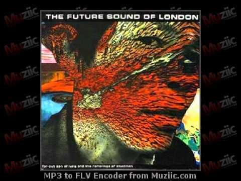 Future Sound of London Essential Mix 1994-05-14 Part1 With Robert Fripp
