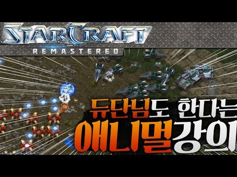 A Build Even Female Streamer Dudan Can Follow! Fail This, and You’re an Animal! [StarCraft Tutorial]