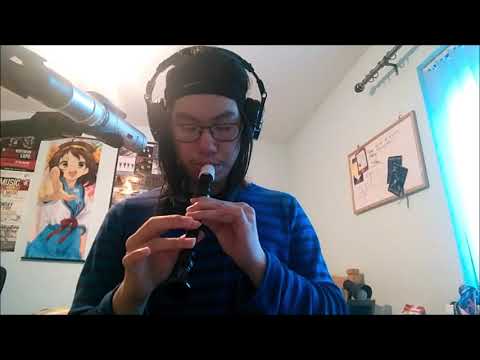 Recorder Cover (Two Mountains from Asia Beauty - Ron Korb)