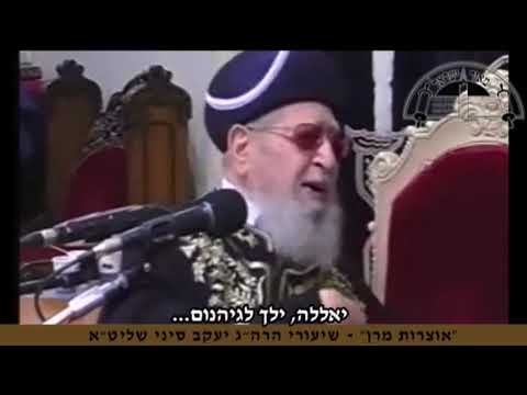 עם קבלת הידיעה על חיסולו של צורר ישראל, בחסדי שמים, צפו בדברי קדשו של מרן זצ"ל