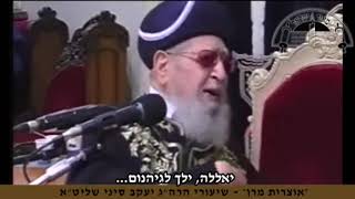 עם קבלת הידיעה על חיסולו של צורר ישראל, בחסדי שמים, צפו בדברי קדשו של מרן זצ"ל (קו ההלכה הספרדי) - התמונה מוצגת ישירות מתוך אתר האינטרנט יוטיוב. זכויות היוצרים בתמונה שייכות ליוצרה. קישור קרדיט למקור התוכן נמצא בתוך דף הסרטון