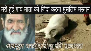 मरी हुई गों माता को जिंदा करता ऐक फकीर बाबा की करामत Abdul qadir bapu Kidana video