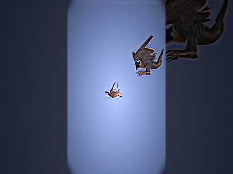 baaz ka shikar#viral #trending #top #