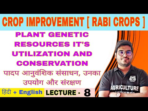 Crop Improvement rabi crops syllabus analysis bsc av 6th semester
