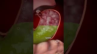 What Really Causes Bloating😲 #shorts #viralvideo #bloating - Creativelearning3d