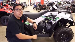 2018 Kawasaki Brute Force 300 - Walk Around