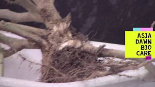 Bio Fertilizer Application Guide